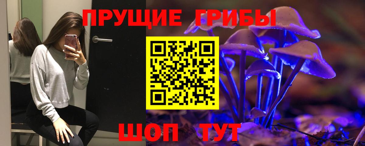 Галлюциногенные грибы MAGIC MUSHROOMS  Вход с VPN  Ковров  Псилоцибиновые грибы Cubensis 